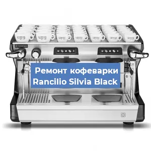 Чистка кофемашины Rancilio Silvia Black от кофейных масел в Перми